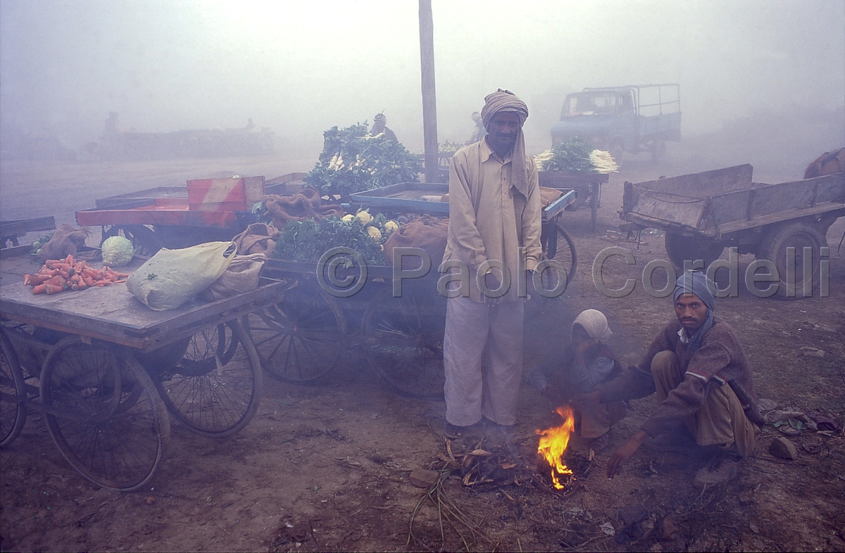 Street market, Agra, India
 (cod:India 48)